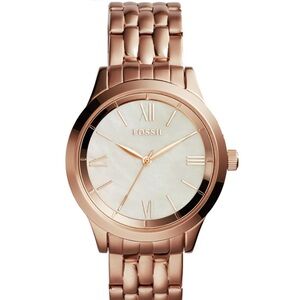 Fossil Watch ABQ1756